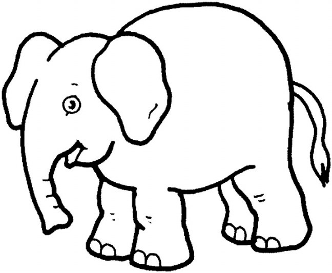 Kumpulan gambar  untuk Belajar mewarnai Gambar  Gajah  Hitam 